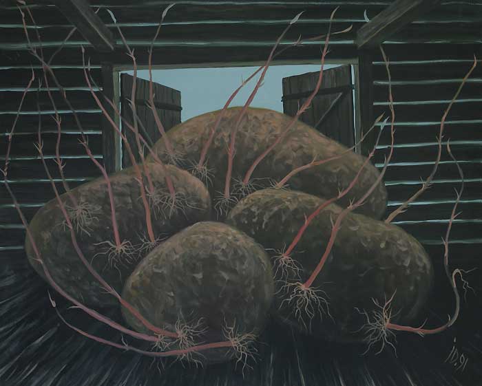 GERMINATED POTATOES V - Oil/Canvas (65x81) 1991