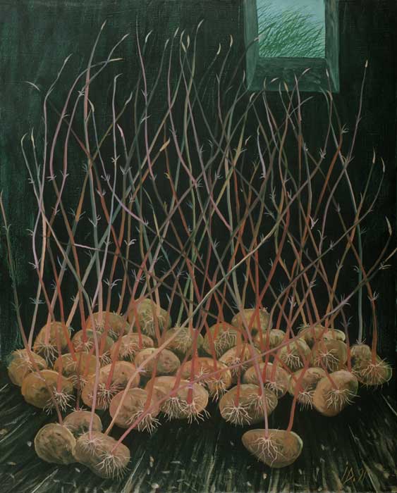 GERMINATED POTATOES - Oil/Canvas (81x65) 1991