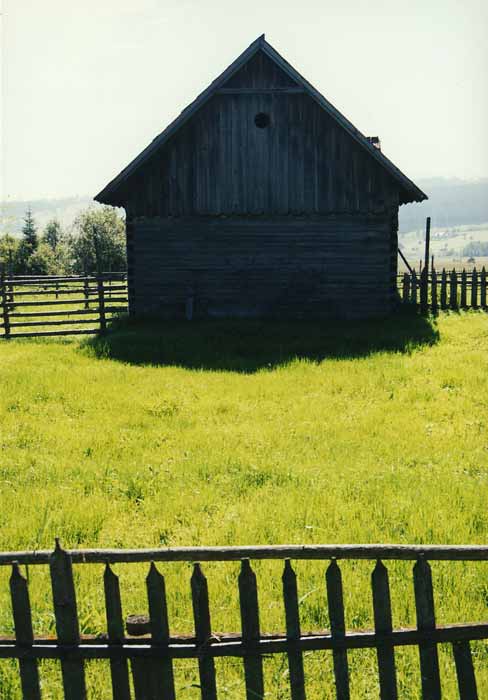 photo 3 - 