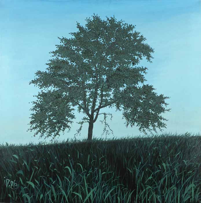 TREE - Oil / Canvas (81x81) 1986