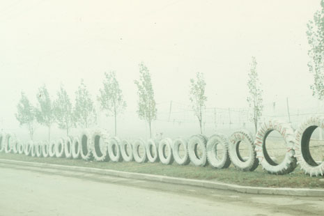 Ion Dumitriu - Galerie - Diapozitive - Ilie Blejan 27